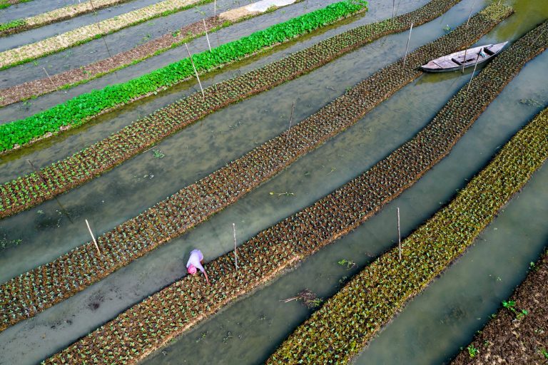 406311615_745463417623018_7572341330399922608_n