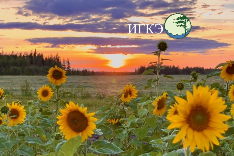 Фон-для-новостей-1089x730_000cp